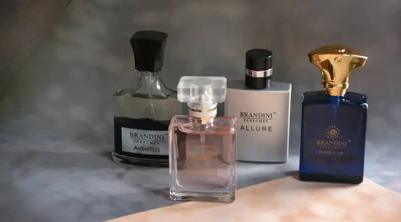 برندینی BRANDINI 